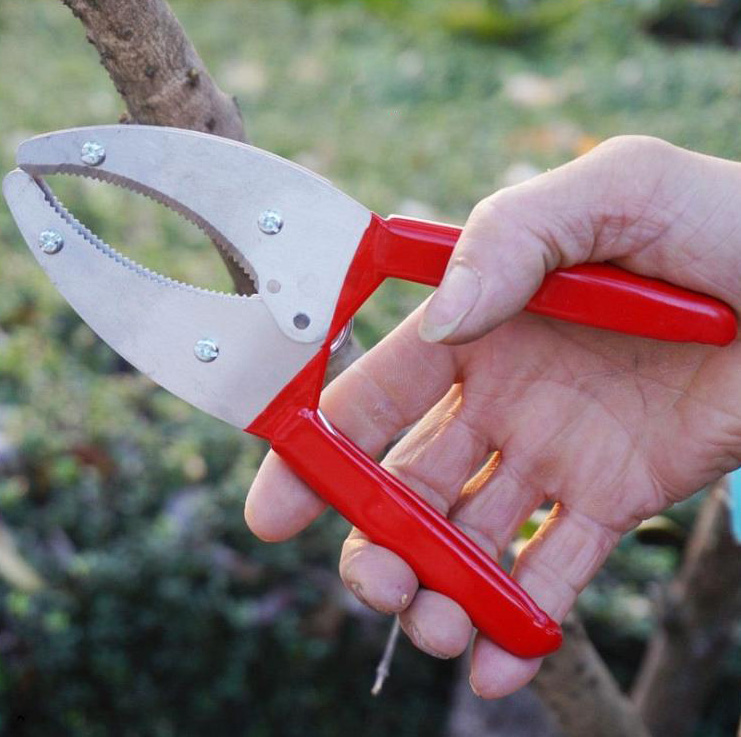 Kéo khoanh vỏ lưỡi kép răng cưa