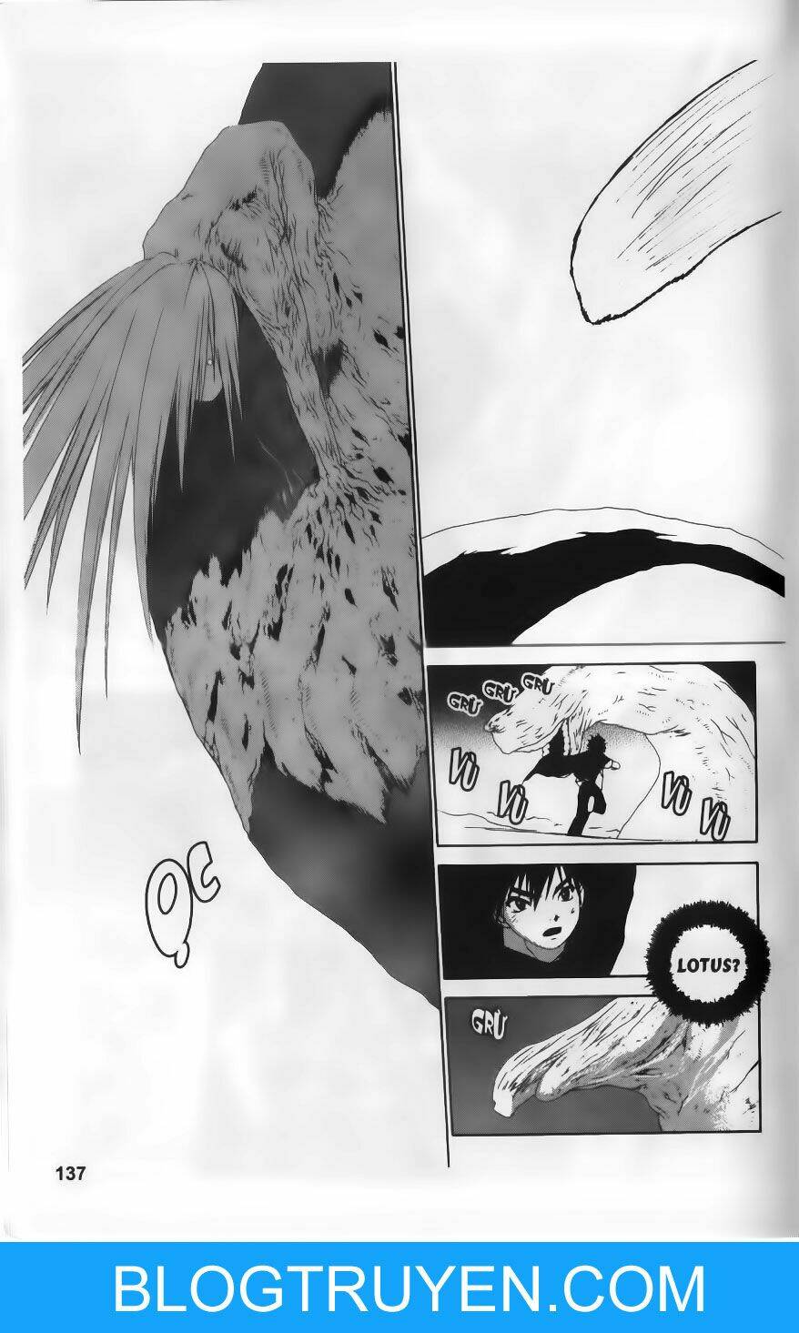 dersert coral chapter 24 30