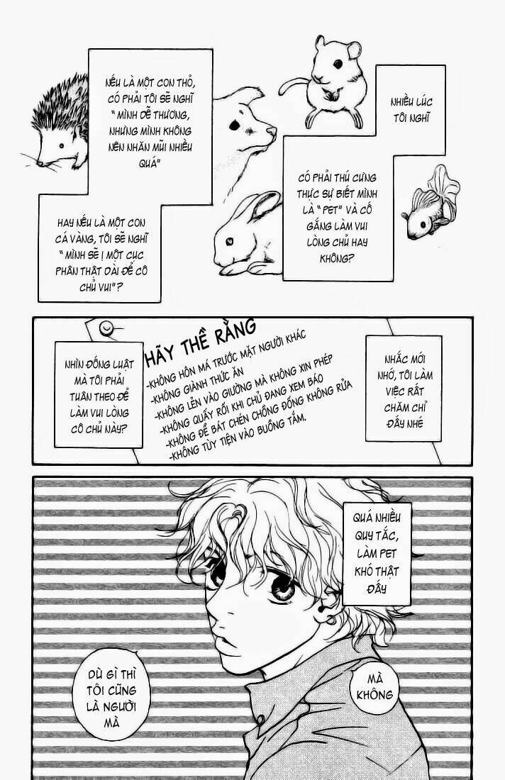 kimi wa petto chapter 8 4