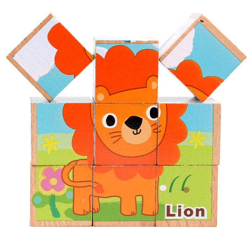 6 chủ đề xếp hình 9 khối lập phương gỗ beech cao cấp | Block puzzle