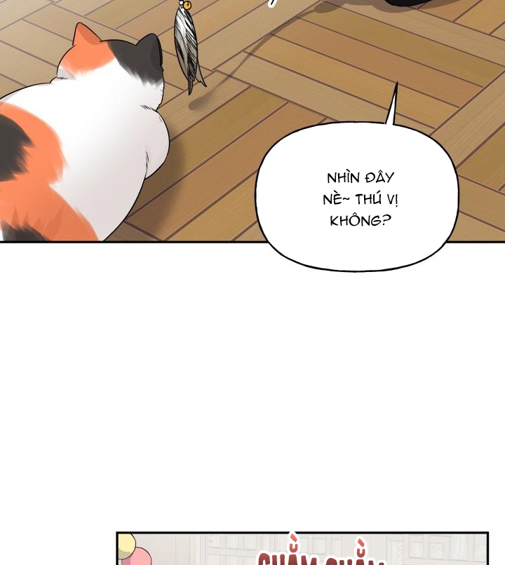 xác suất tình yêu chapter 50 6