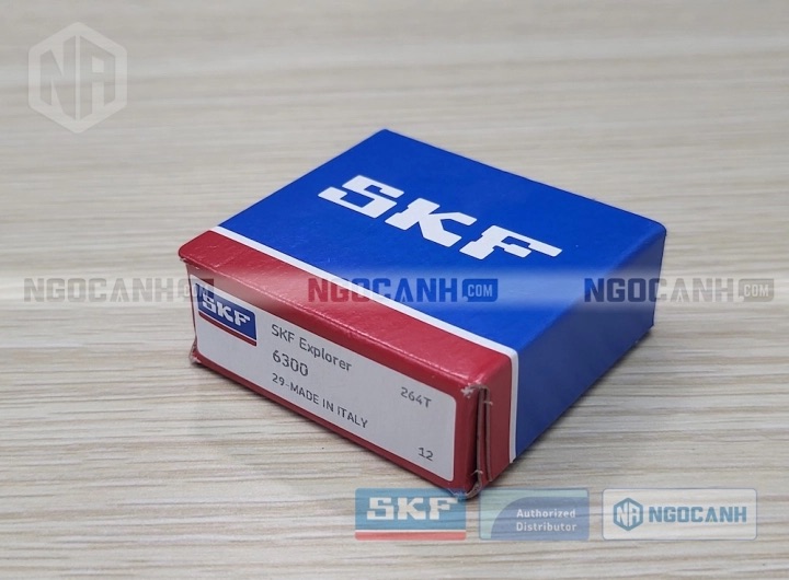 Vòng bi bạc đạn 6300 SKF chính hãng