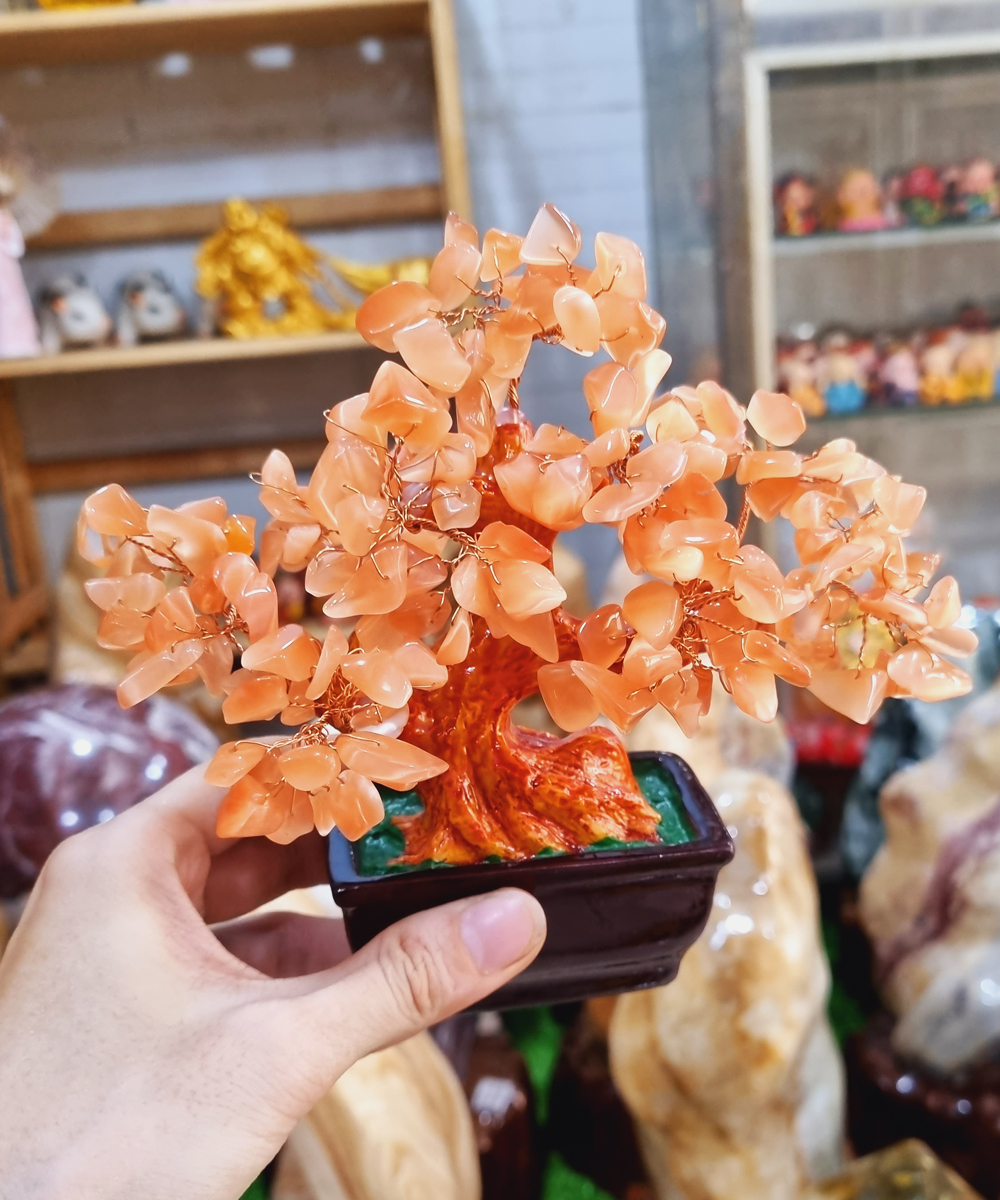 Cây Tài Lộc đá mắt mèo màu cam size 16cm