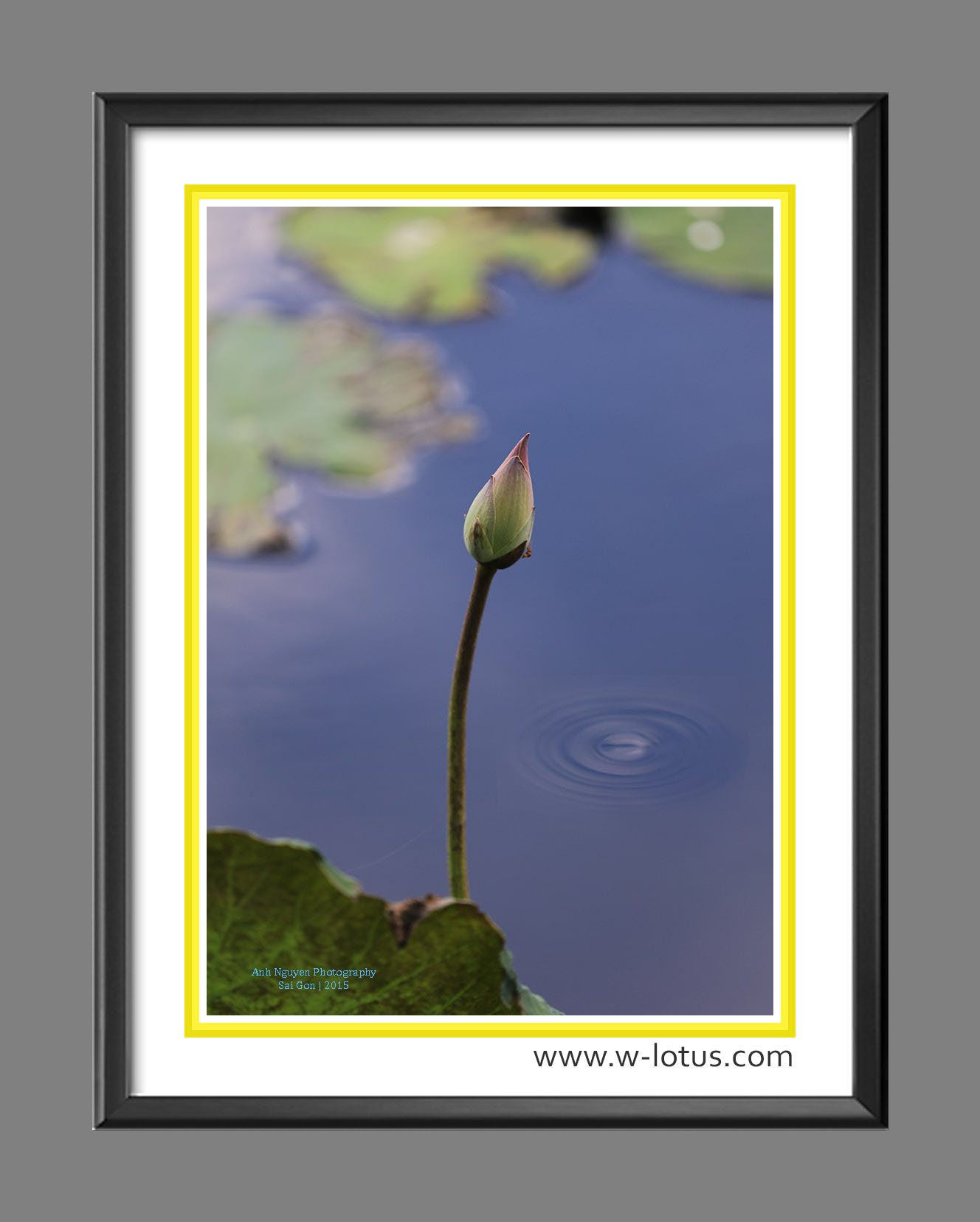 Tranh canvas hoa Sen treo phòng khách ST-00291