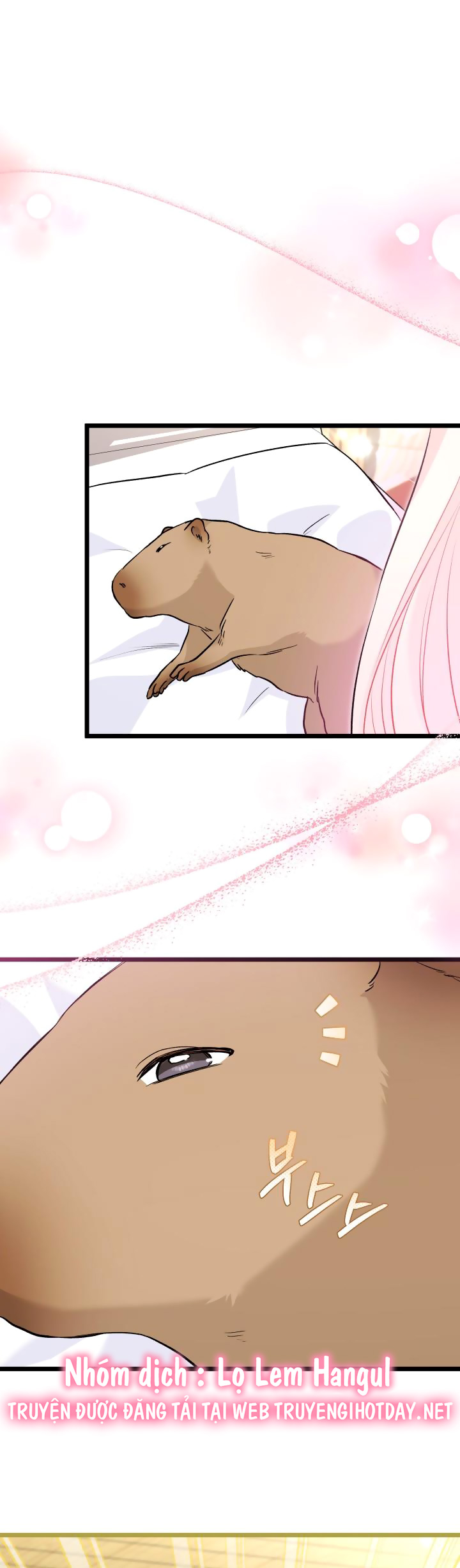 mối liên kết giữa báo đen và bé thỏ chapter 123 21