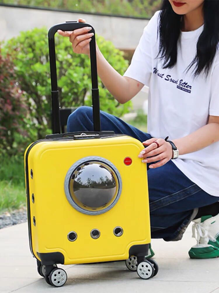 Vali kéo cao cấp dành riêng cho thú cưng
