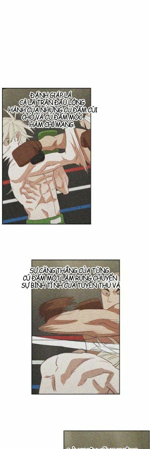 Võ Sĩ Quyền Anh chapter 36 15