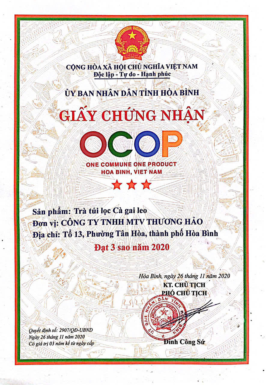 Túi 60 gói trà túi lọc Cà Gai Leo Hòa Bình-Tốt cho gan