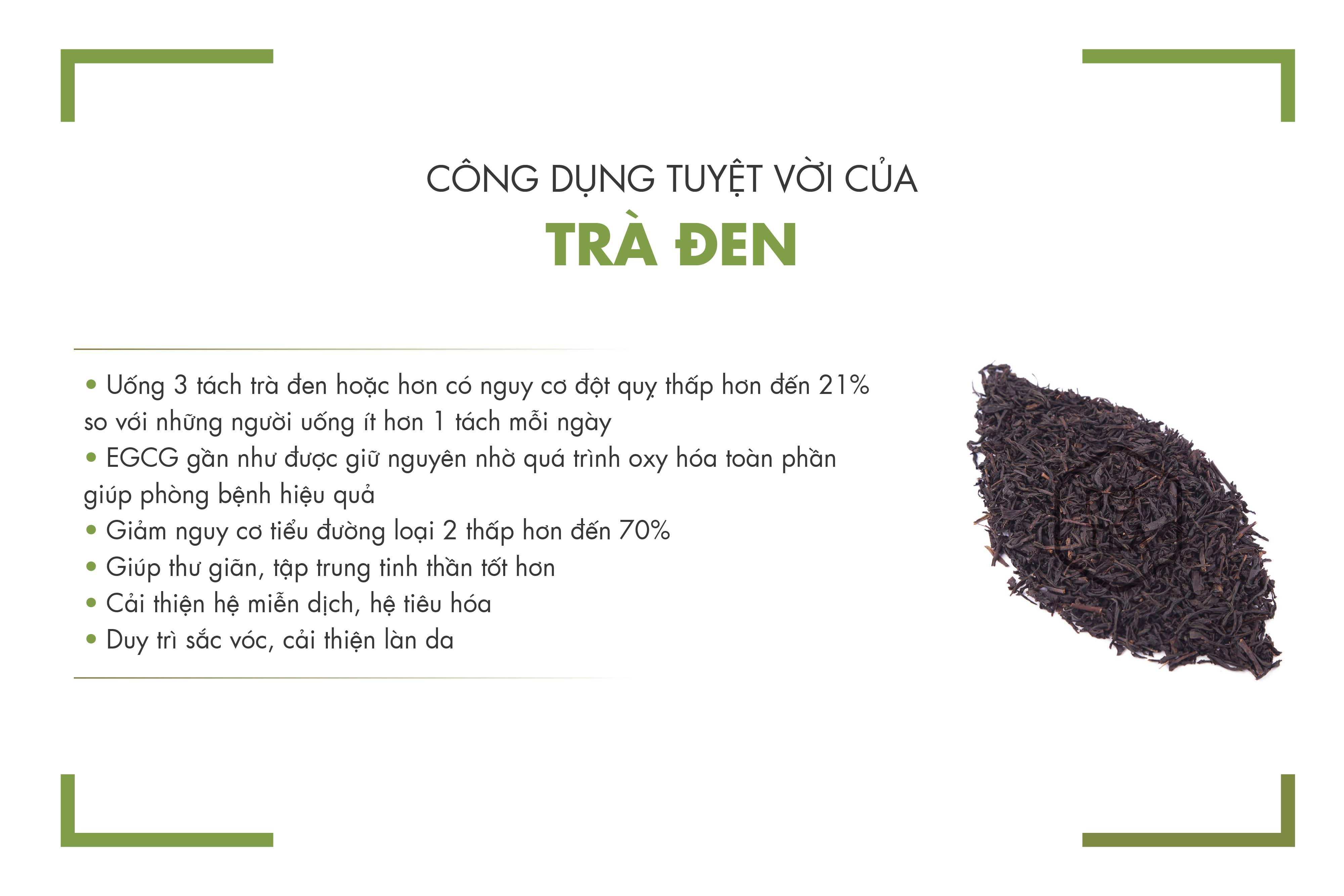 Trà Đen B251 Dotea 500g/ 100g - Vị Ngọt Trái Chín Hương Thơm Tự Nhiên