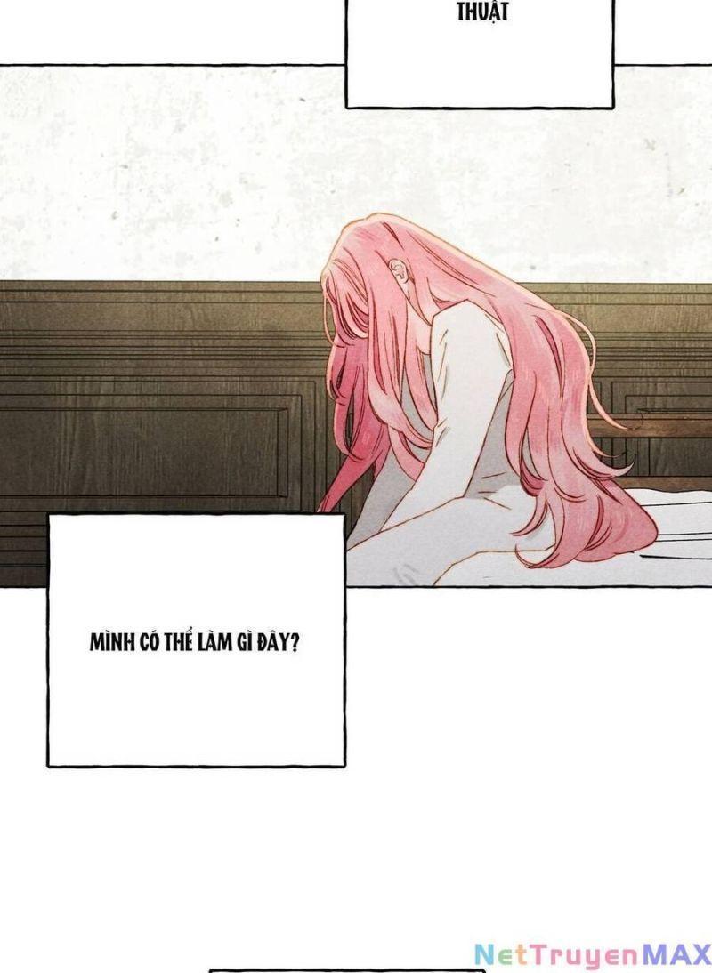 nuôi dưỡng một hắc long chapter 69.1 7