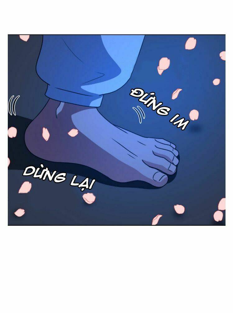 no scope chapter 2 97