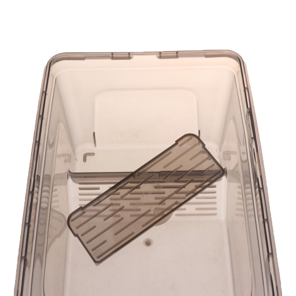 Reptile Turtle Tortoise Tank Vivarium Feeding Box with Basking Ramp White