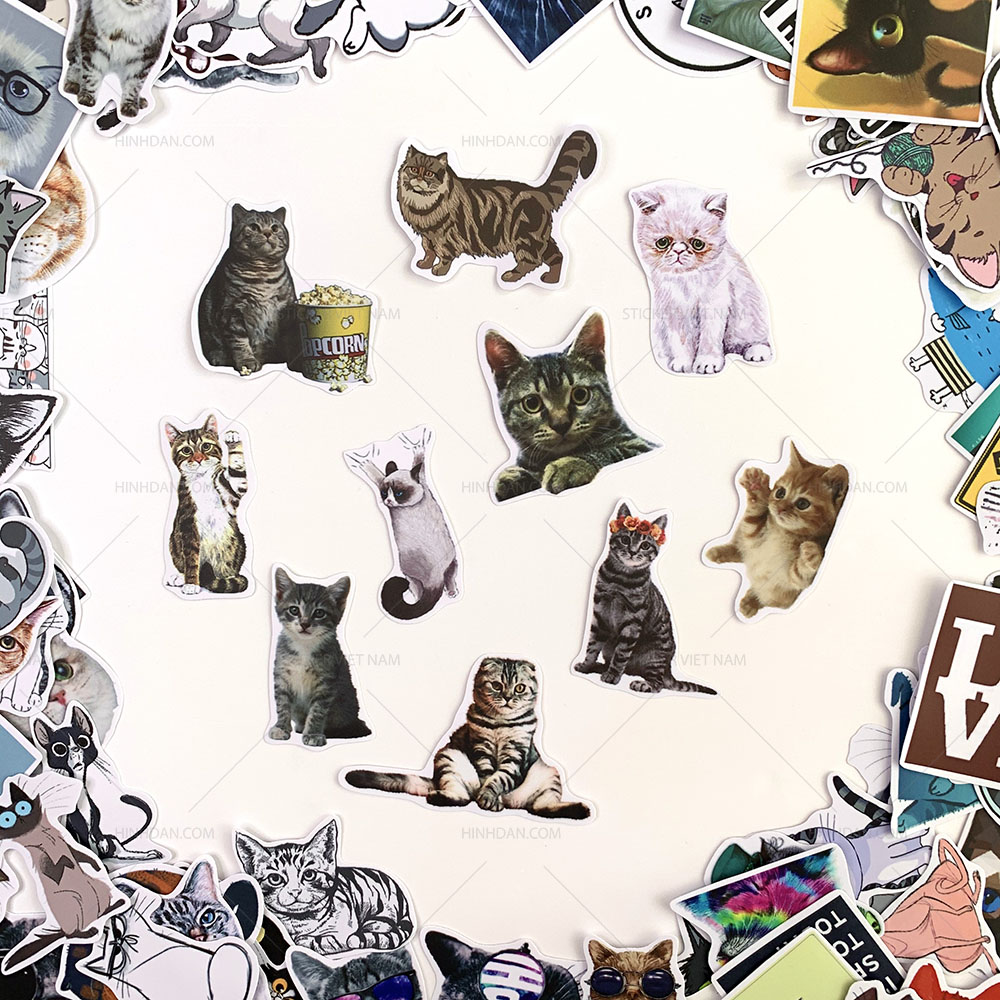 Bộ sticker chủ đề Mèo - Cat - Boss 2019, decal hình dán thú cưng  chống nước, trang trí nón bảo hiểm, điện thoại, lap top