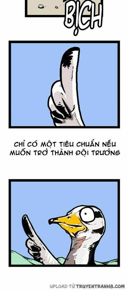 earth, human, and animal chapter 18 6