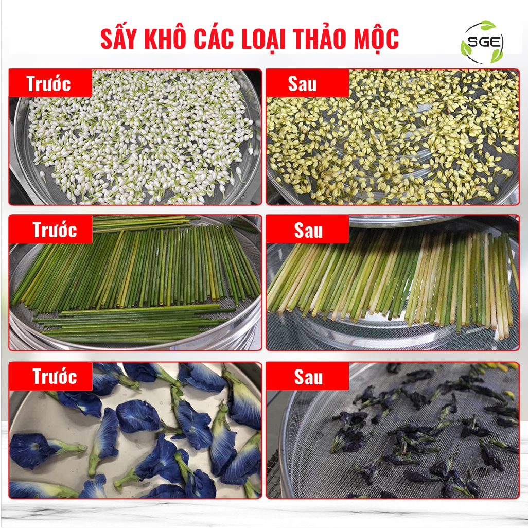 Máy Sấy Công Nghiệp Khay Xoay Tròn Loại 10 Khay Gec10. Hàng Chính Hãng Sge Thailand. Máy Dùng Sấy Thực Phẩm Số Lượng Lớn, Phù Hợp Hộ Kinh Doanh, Nhà Hàng, Sản Xuất Công Nghiệp