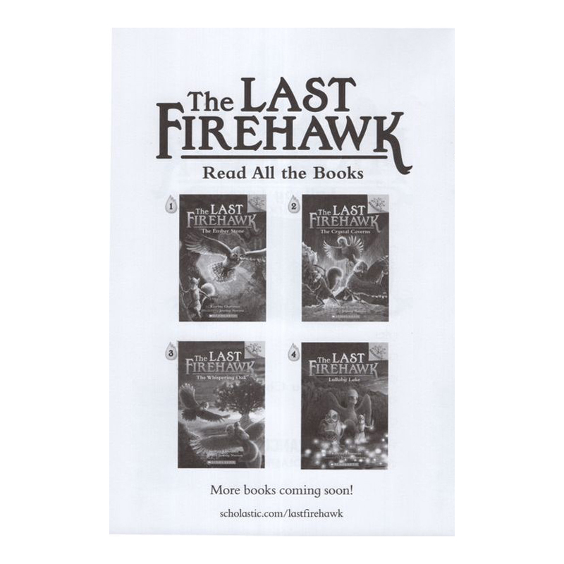 The Last Firehawk Book 4: Lullaby Lake