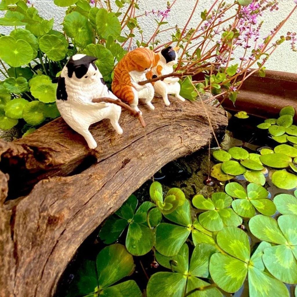 Mèo Câu Cá  - Tiểu Cảnh Trang Trí Hồ Cá, Bể Cá Thủy Sinh Xinh Đẹp [MÈO CÂU CÁ]