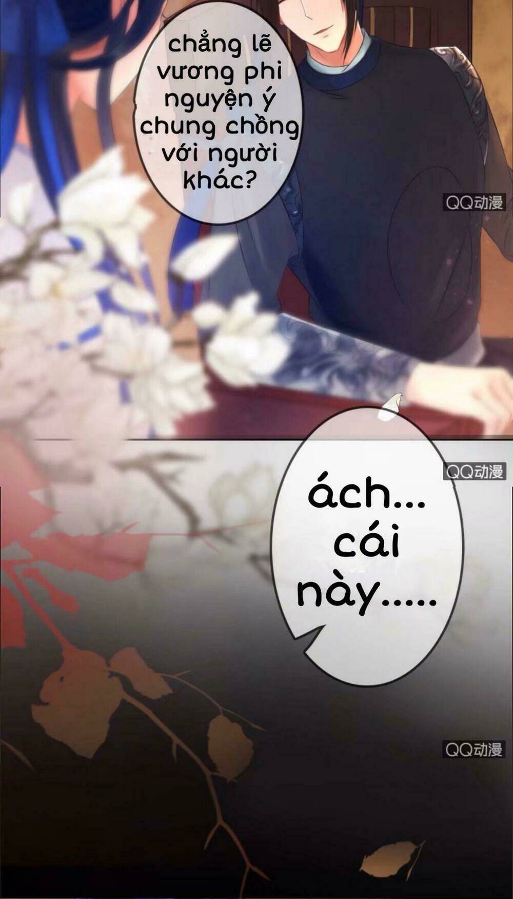 sủng phi của vương chapter 23 12