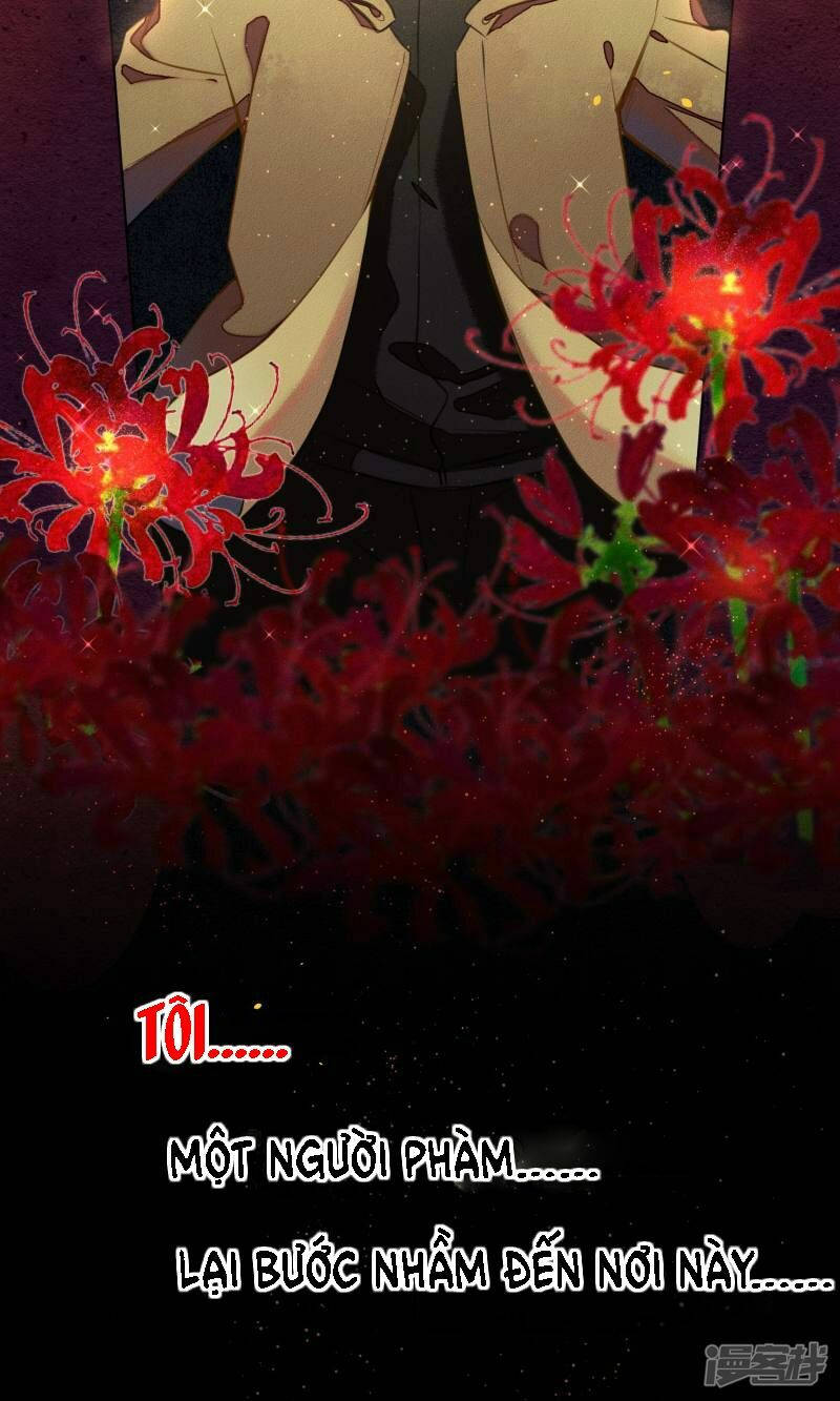 đêm ảo mộng cực lạc chapter 1 4