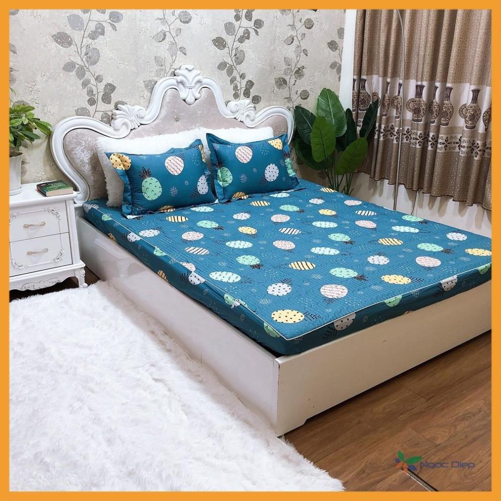 Bộ ga kèm 2 vỏ gối cotton Chần Bông mẫu Dứa Xanh cao cấp m2, m6, m8, 2m2
