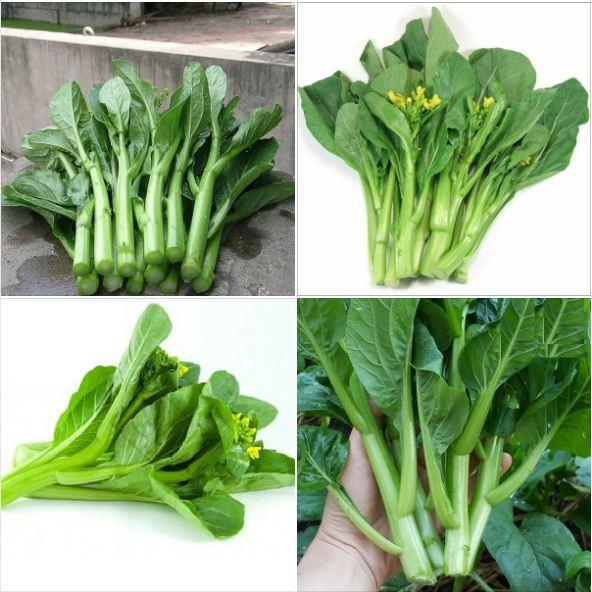 Combo 3 gói hạt giống cải ngồng mập xanh