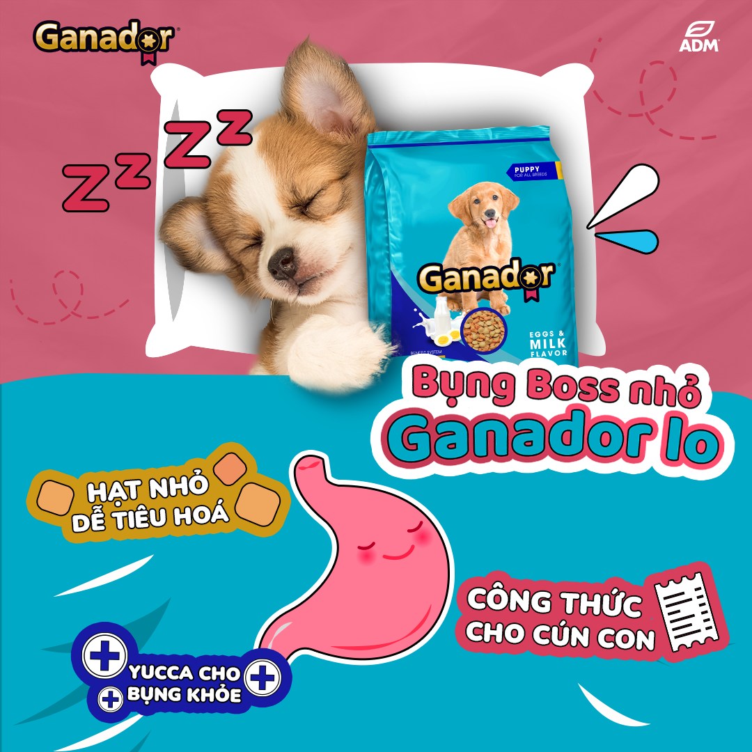 20KG Thức ăn cho chó con Ganador vị Trứng và Sữa - Ganador Egg and Milk - Thức ăn hạt cho chó