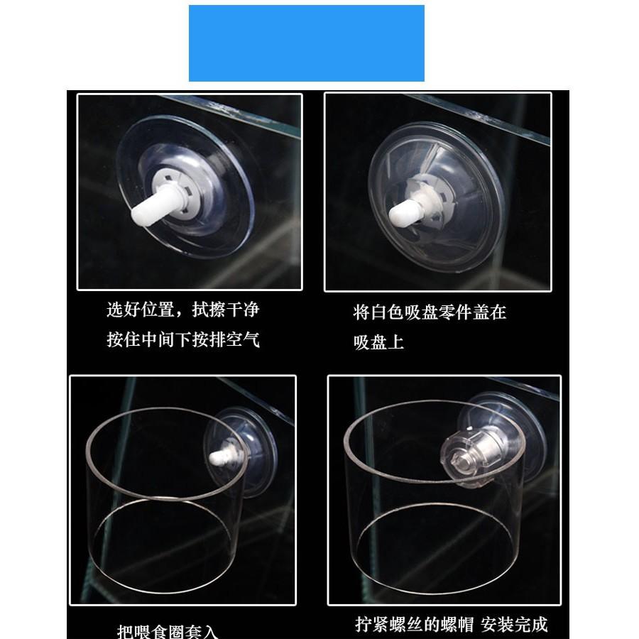 Vòng Giữ Thức Ăn Acrylic - Vòng Ăn Trong Suốt Cho Cá Cảnh