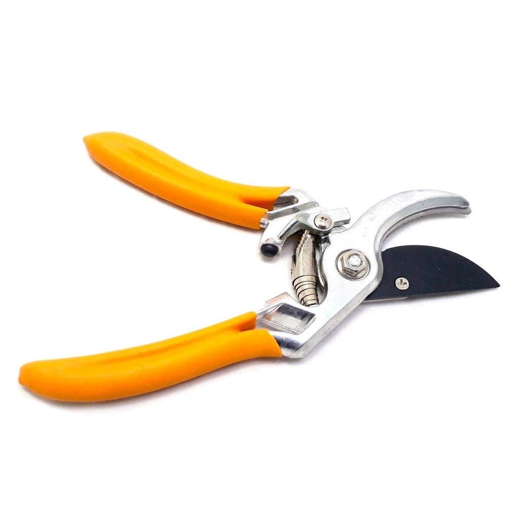 KÉO CẮT TỈA CÀNH CÂY CẢNH 8&quot; INGCO HPS0109 - HÀNG CHÍNH HÃNG