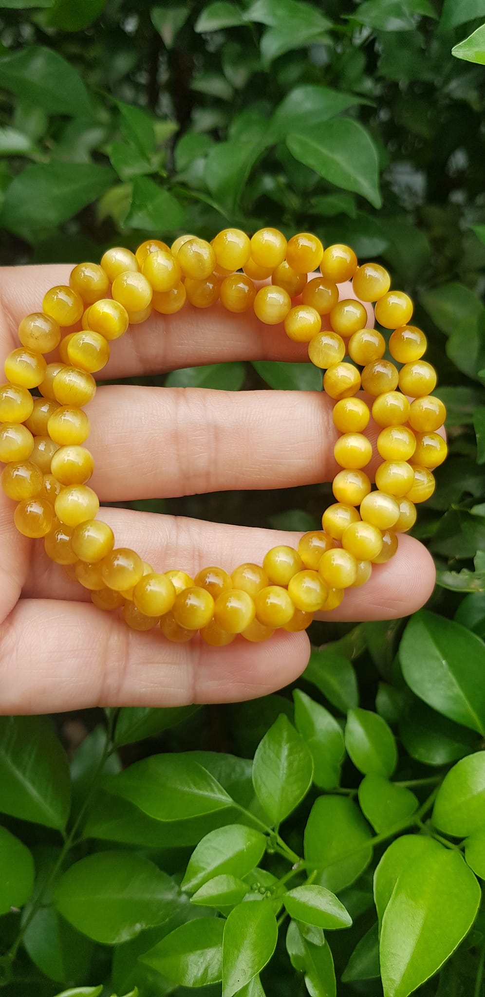 Vòng tay nữ đá mắt hổ tự nhiên vàng anh vip 6mm quấn tay 3 vòng đẹp vòng màu vàng anh tươi đẹp hợp nữ mệnh kim mệnh thổ mệnh thuỷ đeo tay may mắn xinh đẹp sang tay ạ