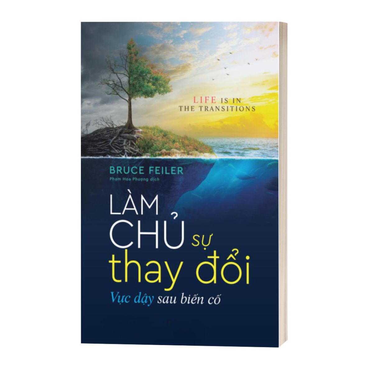 Làm Chủ Sự Thay Đổi - Vực Dậy Sau Biến Cố