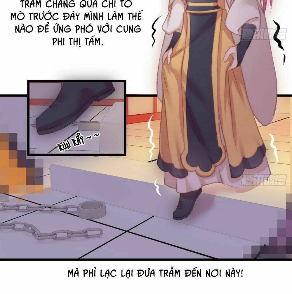trẫm quyết định giải tán hậu cung chapter 7 18