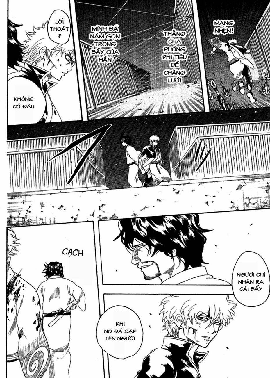 gintama - linh hồn bạc chapter 256 13