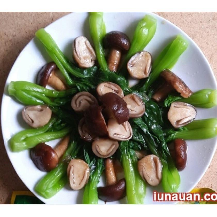 Combo 2 gói hạt giống rau cải chíp xanh F1