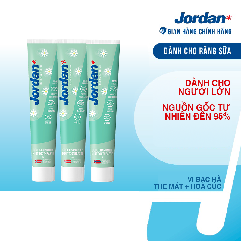 Combo 3 Kem đánh răng cho ngưởi lớn vị bạc hà hoa cúc Jordan Clean &amp; Fresh Cool - 75g