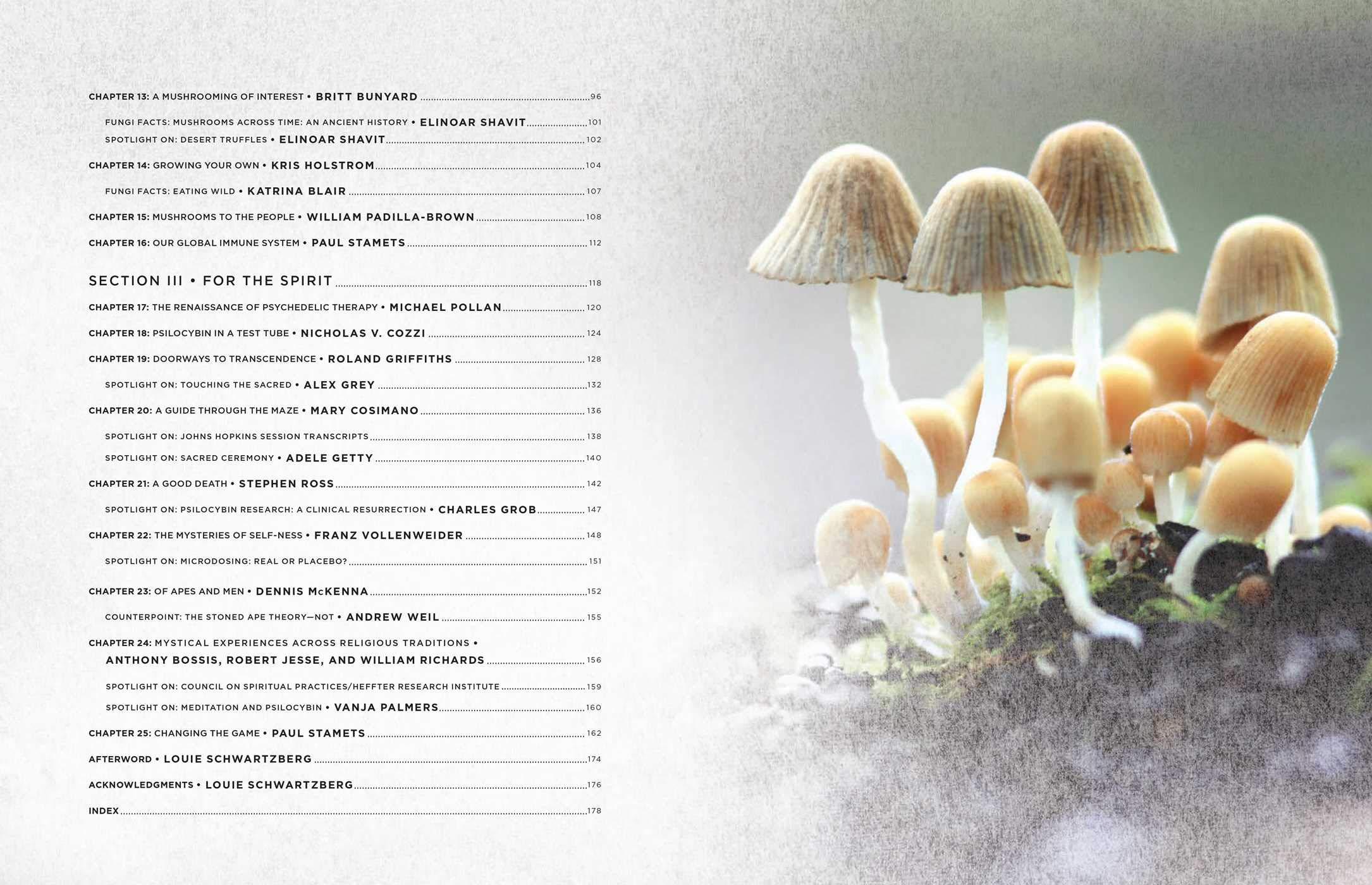 Fantastic Fungi: How Mushrooms Can Heal, Shift Consciousness, And Save The Planet