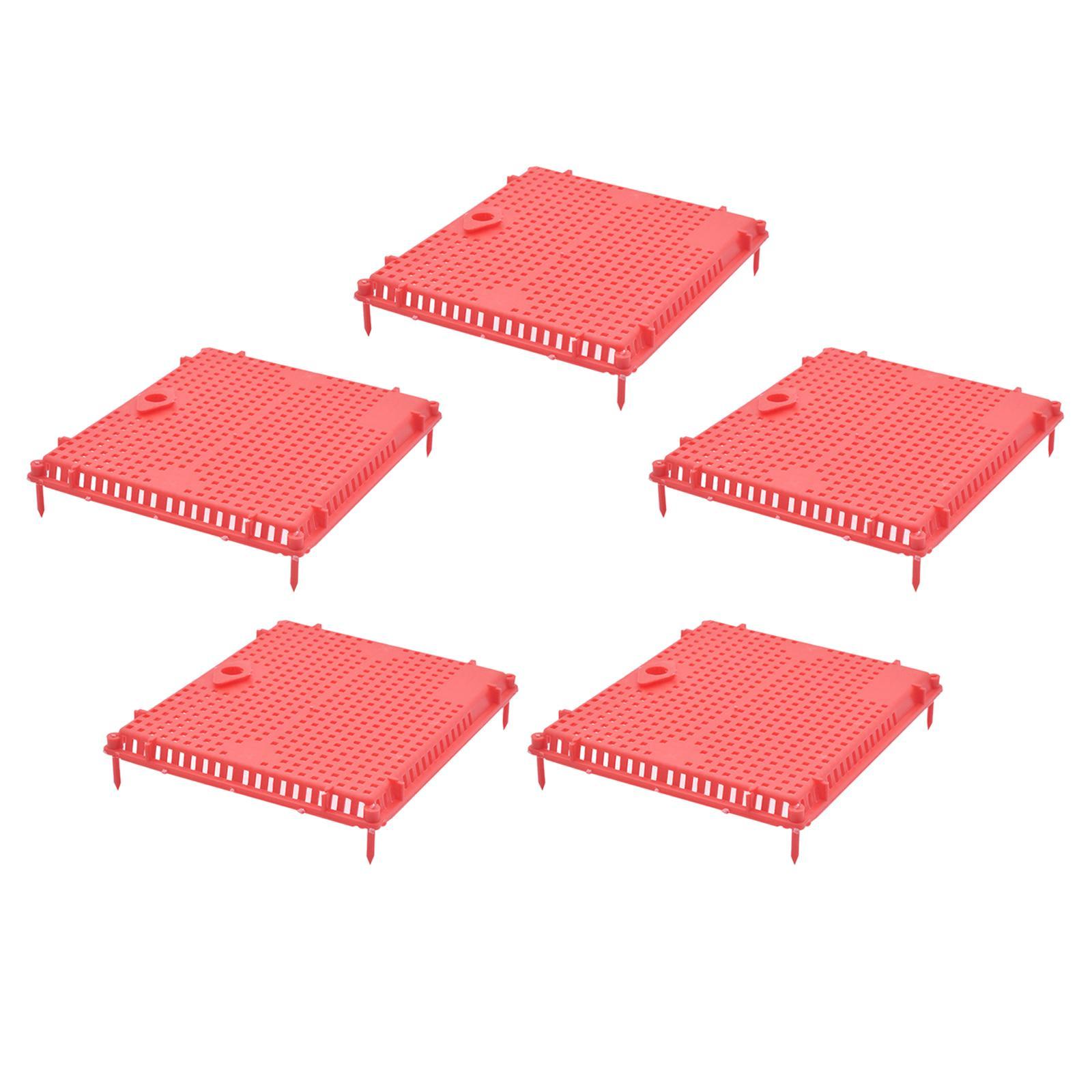 Queen Bee Isolator Introducing Cage Plastic Equipment Reusable Beekeeping