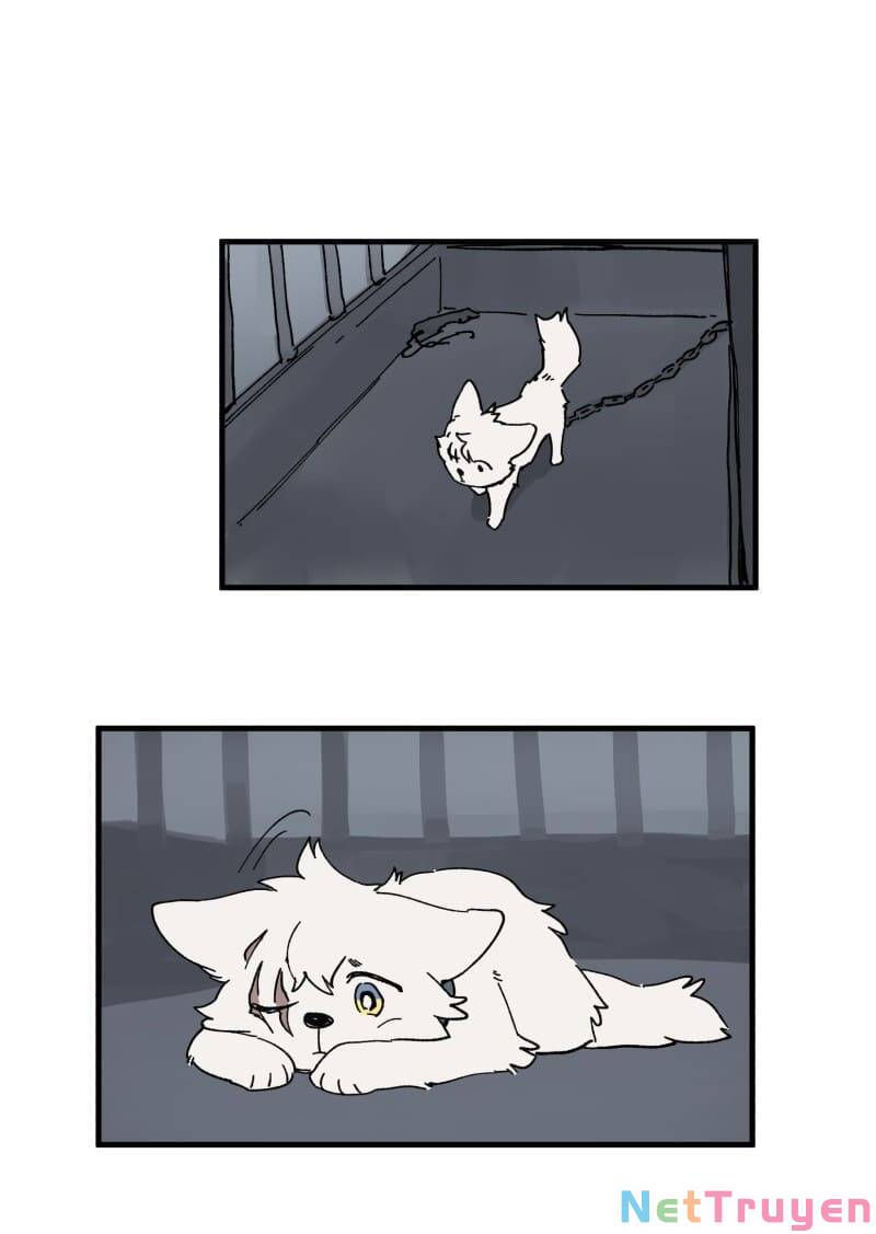 lumine - cội nguồn ánh sáng chapter 147 10