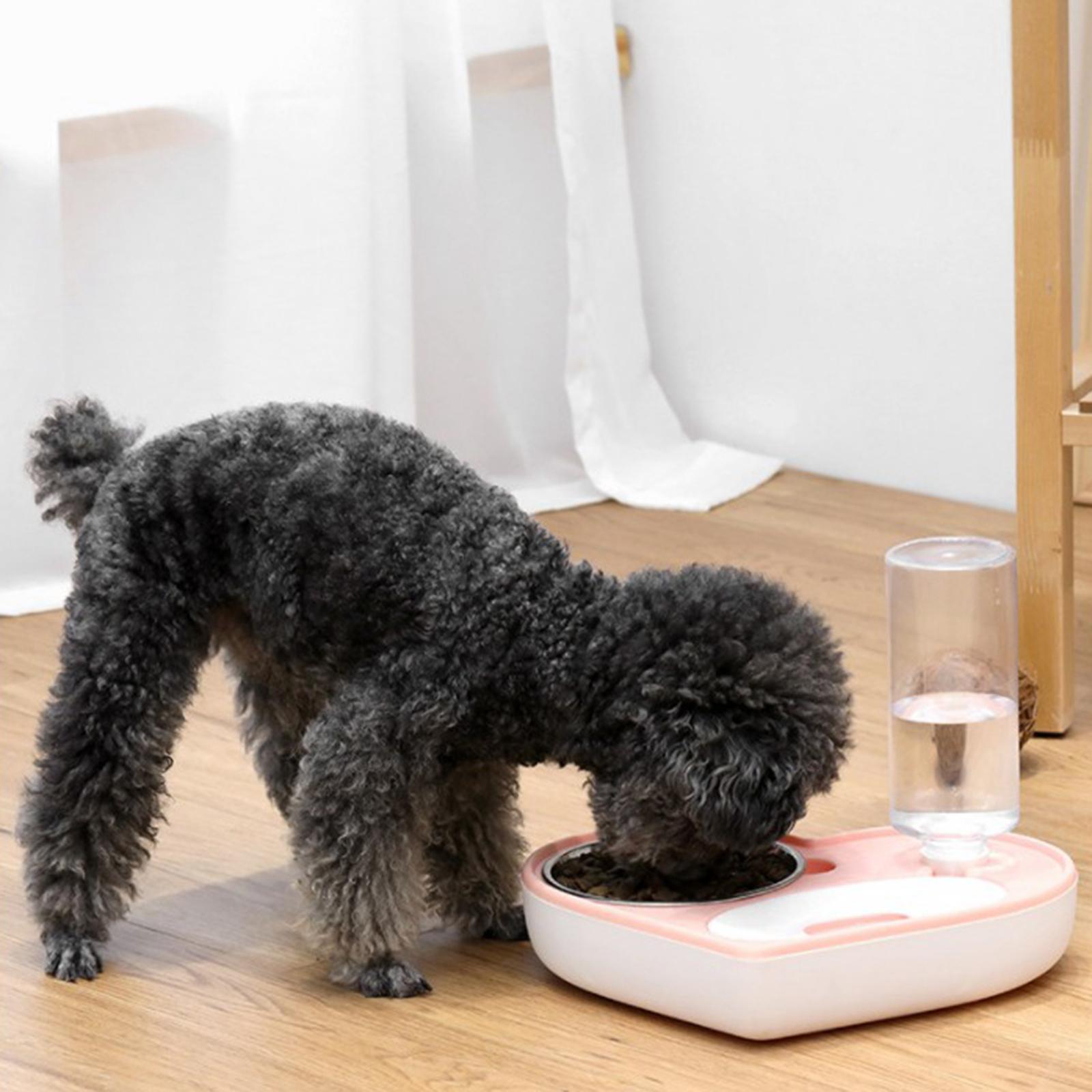 Automatic Pet Cat Dog Food and Water Bowl Set Water Food Dispenser