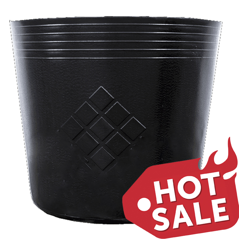 Combo 100 Chậu nhựa trồng cây và ươm cây gióng miệng.đáy.cao 15x11x11 -77100
