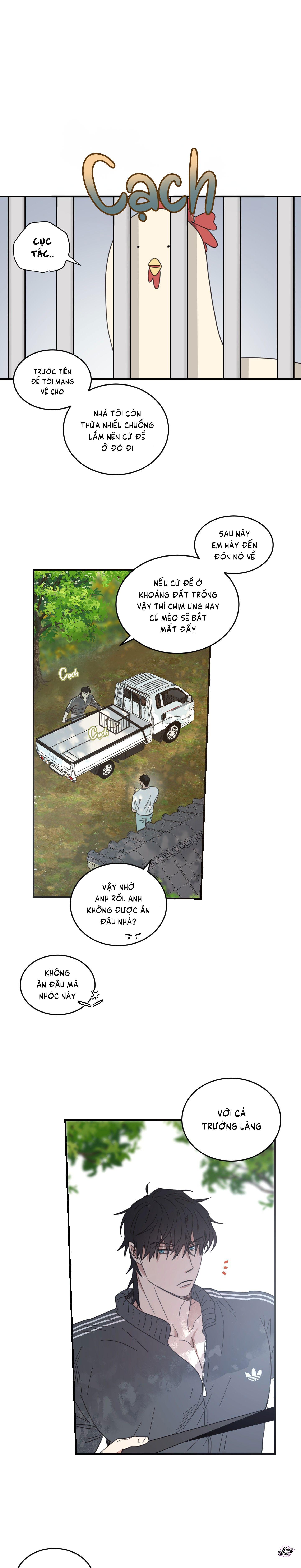 căn nhà mặt trời mọc chapter 19 5