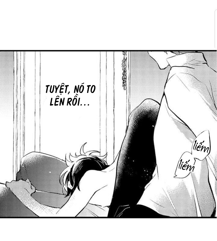 tiếng gọi của tình yêu sau trải nghiệm cận tử chapter 15 9