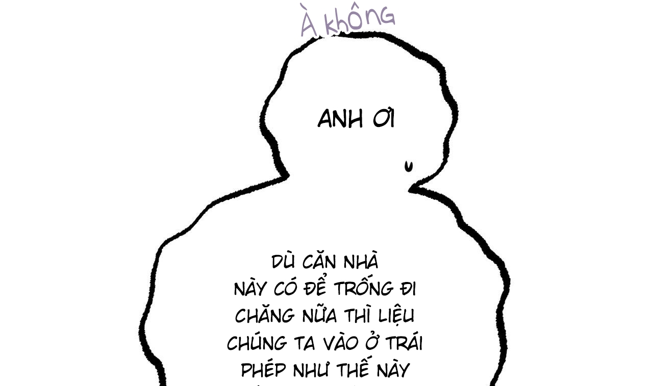 những chú thỏ của hapypy chapter 51 235