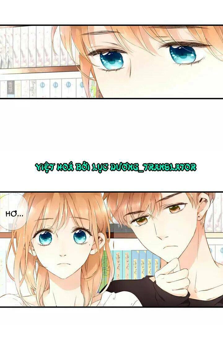 Tình yêu là màu hoa anh thảo chapter 18.5 36