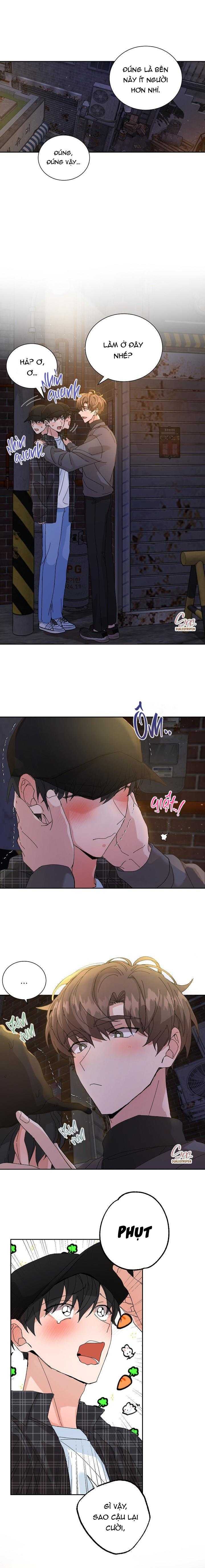 đặc quyền cho cặp đôi mới cưới chapter 14 2