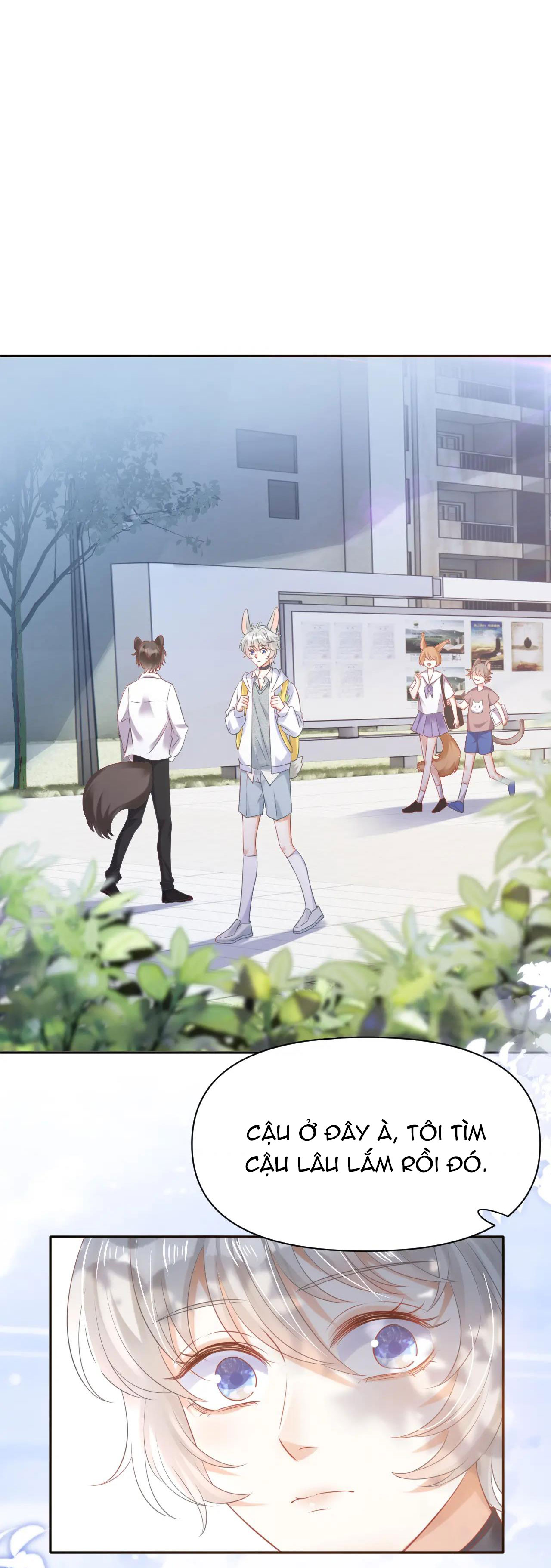 một miếng ăn sạch thỏ chapter 2 2