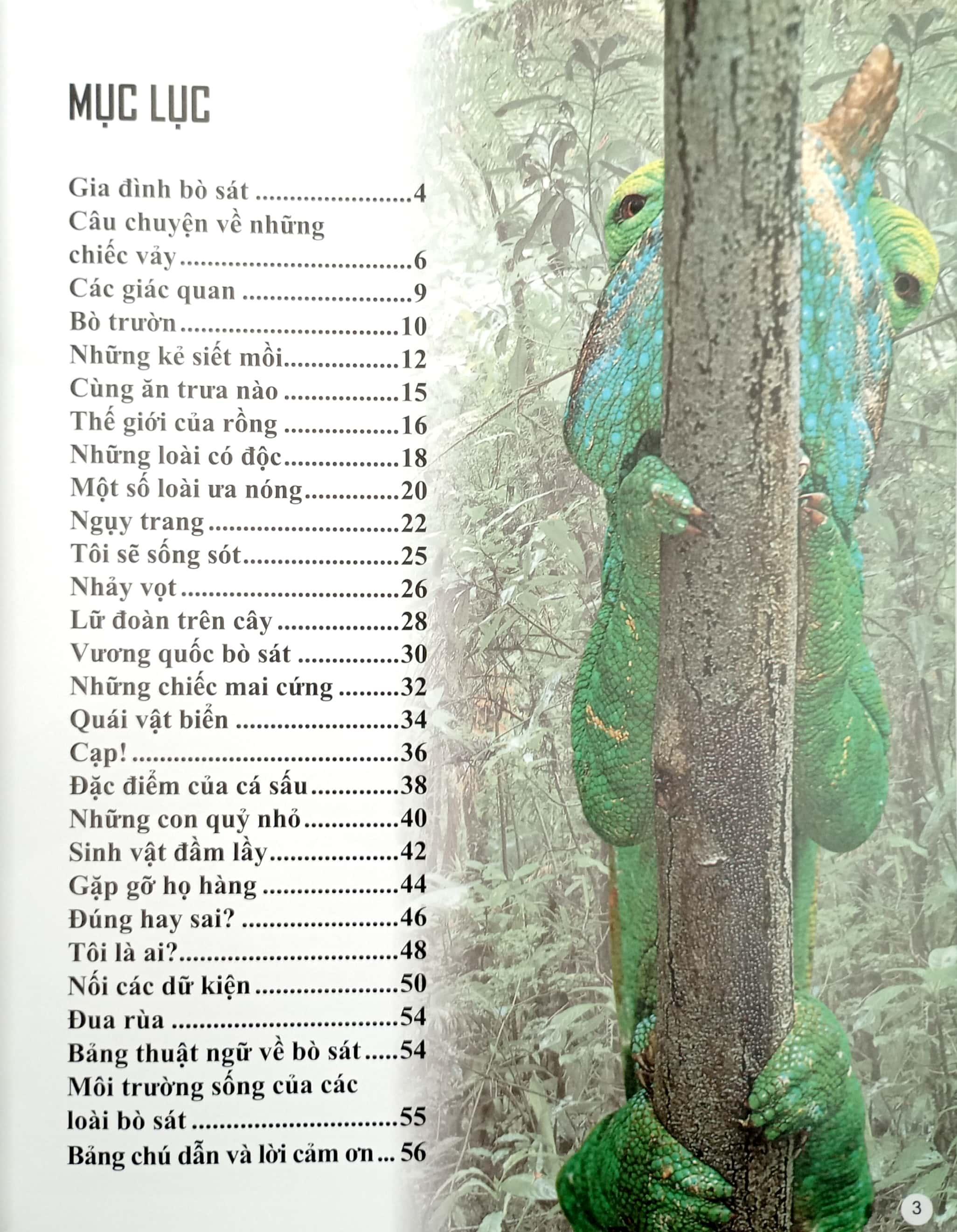 Sách Bách Khoa Tri Thức Về Khám Phá Thế Giới Cho Trẻ Em - Reptiles - Bò Sát