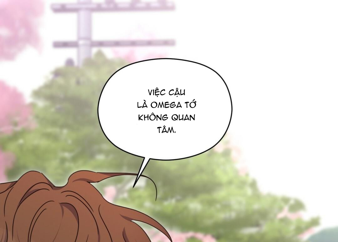 phức cảm tự ti của omega chapter 22 23