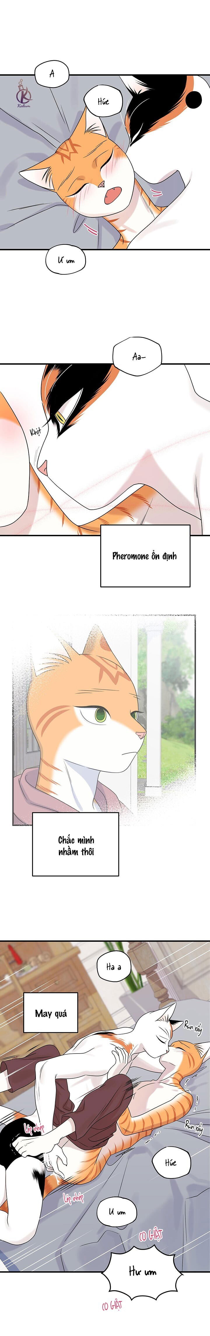 dự án xanh chapter 48 9