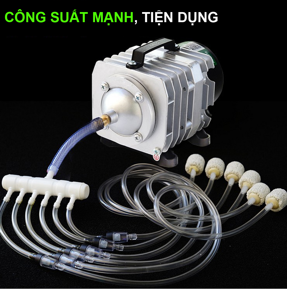 Máy sục sủi thổi khí oxy hồ bể cá cảnh 25W - 45L/P chất lượng cao,công suất mạnh, tiết kiệm điện.