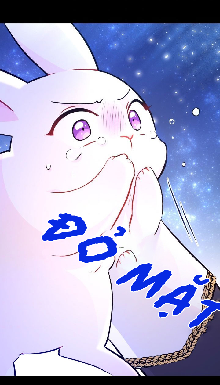 mối liên kết giữa báo đen và bé thỏ chapter 1 44